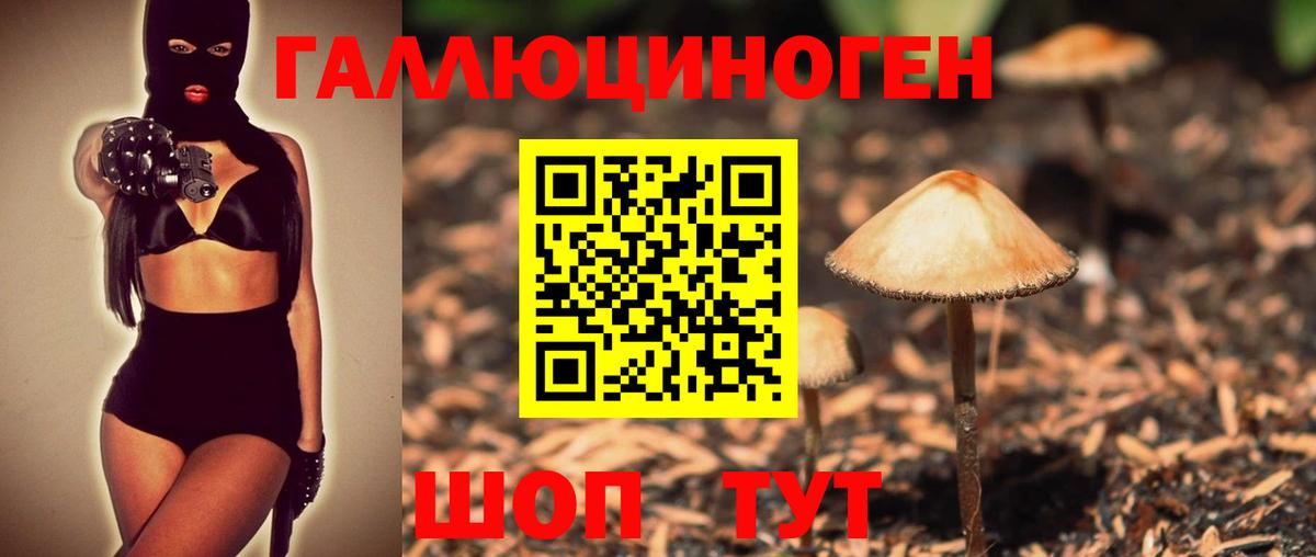 Мелеуз  Галлюциногенные грибы прущие грибы  Вход с VPN 